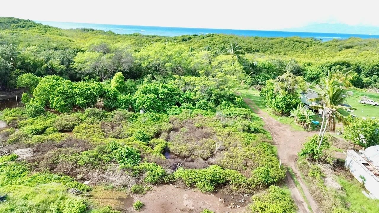 4 Off Mapulehu Fish Pond Ln, Kaunakakai, Hawaii, ,Land,For Sale,Off Mapulehu Fish Pond Ln,409345 4 Off Mapulehu Fish Pond Ln, Kaunakakai, Hawaii, ,Land,For Sale,Off Mapulehu Fish Pond Ln,409345