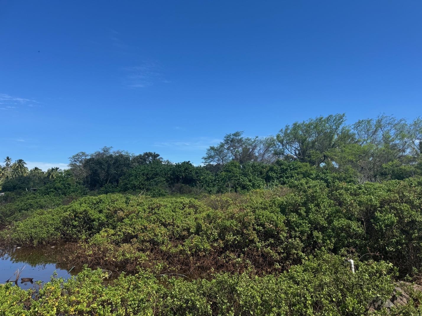 4 Off Mapulehu Fish Pond Ln, Kaunakakai, Hawaii, ,Land,For Sale,Off Mapulehu Fish Pond Ln,409345