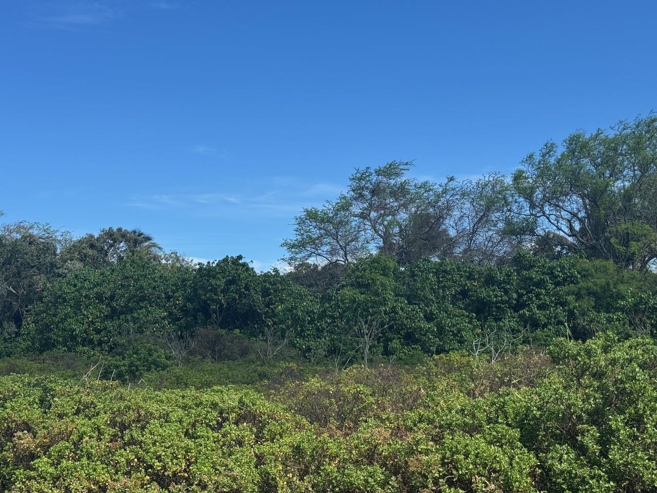 4 Off Mapulehu Fish Pond Ln, Kaunakakai, Hawaii, ,Land,For Sale,Off Mapulehu Fish Pond Ln,409345