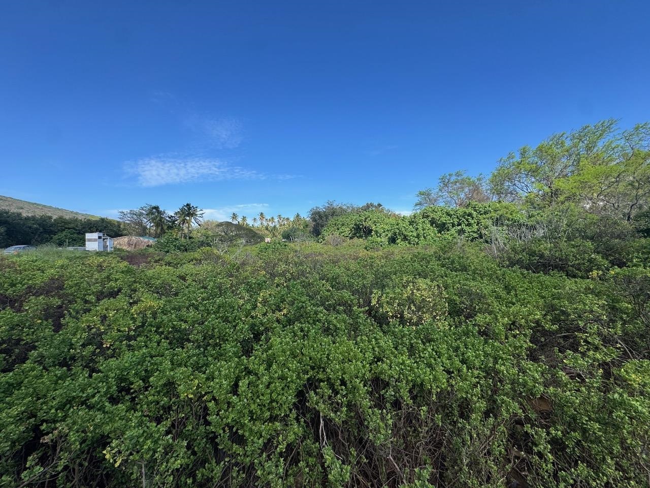 4 Off Mapulehu Fish Pond Ln, Kaunakakai, Hawaii, ,Land,For Sale,Off Mapulehu Fish Pond Ln,409345