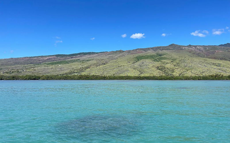 Makolelau 229 Acres FOR SALE!