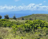 0 Kalua Koi Road, Maunaloa, Hawaii 96770, ,Land,For Sale,Kalua Koi Road,1103