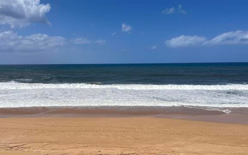 88 Papapa Place, Maunaloa, Hawaii 96770, ,Land,For Sale,Papapa Place,1113