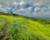 0 Kaluakoi Road, MAunaloa, Hawaii 96770, ,Land,For Sale,Kaluakoi Road,1119