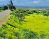 0 Kaluakoi Road, MAunaloa, Hawaii 96770, ,Land,For Sale,Kaluakoi Road,1119