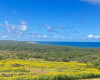 Kalua Koi Road, Maunaloa, Hawaii 96770, ,Land,For Sale,Kalua Koi Road,1139