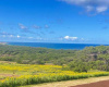 Kalua Koi Road, Maunaloa, Hawaii 96770, ,Land,For Sale,Kalua Koi Road,1139