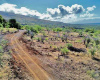 235 Ulua Road, Kaunakakai, Hawaii 96748, ,Land,For Sale,Ulua Road,1145