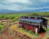 3500 Kaluakoi Road, Maunaloa, Hawaii 96770, 3 Bedrooms Bedrooms, ,3 BathroomsBathrooms,House,For Sale,Kaluakoi Road,1148