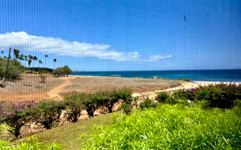 100 Lio Place, Maunaloa, Hawaii 96770, ,1 BathroomBathrooms,Condominium,Pending,Lio Place,1149