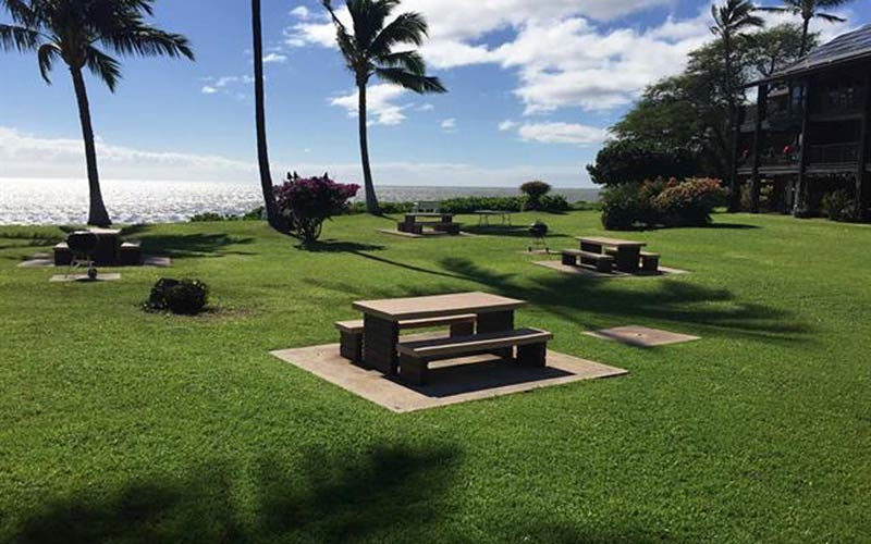 1000 Kamehameha V Hwy, Kaunakakai, Hawaii 96745, 1 Bedroom Bedrooms, ,1 BathroomBathrooms,Condominium,For Sale,Kamehameha V Hwy,1156