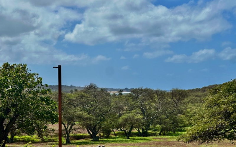 50 Kepuhi Pl., Maunaloa, Hawaii 96770, 1 Bedroom Bedrooms, ,1 BathroomBathrooms,Condominium,For Sale,Ke Nani Kai,Kepuhi Pl.,1,1184 50 Kepuhi Pl., Maunaloa, Hawaii 96770, 1 Bedroom Bedrooms, ,1 BathroomBathrooms,Condominium,For Sale,Ke Nani Kai,Kepuhi Pl.,1,1184