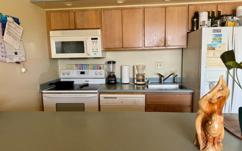 255 Kepuhi Place, Maunaloa, Hawaii 96770, ,1 BathroomBathrooms,Condominium,For Sale,Kepuhi Beach Resort,Kepuhi Place,1,1185