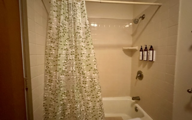 255 Kepuhi Place, Maunaloa, Hawaii 96770, ,1 BathroomBathrooms,Condominium,For Sale,Kepuhi Beach Resort,Kepuhi Place,1,1186