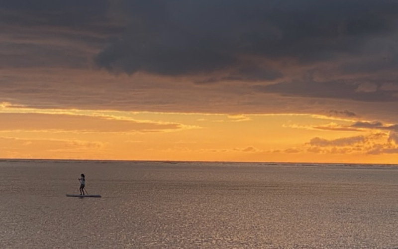 1000 Kamehameha V, Hawaii 96748, 1 Bedroom Bedrooms, ,1 BathroomBathrooms,Condominium,For Sale,Kamehameha V,2,1187 1000 Kamehameha V, Hawaii 96748, 1 Bedroom Bedrooms, ,1 BathroomBathrooms,Condominium,For Sale,Kamehameha V,2,1187