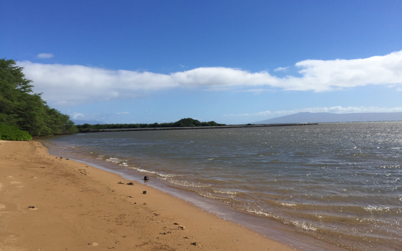 1000 Kamehameha V, Hawaii 96748, 1 Bedroom Bedrooms, ,1 BathroomBathrooms,Condominium,For Sale,Kamehameha V,2,1187 1000 Kamehameha V, Hawaii 96748, 1 Bedroom Bedrooms, ,1 BathroomBathrooms,Condominium,For Sale,Kamehameha V,2,1187