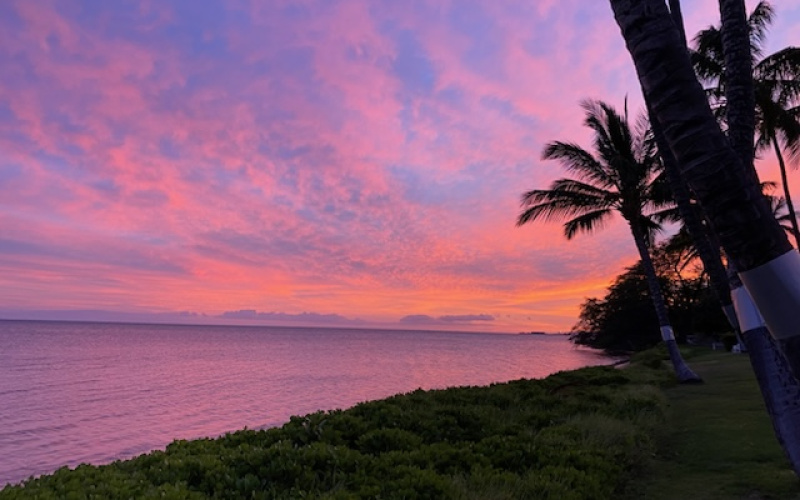 1000 Kamehameha V, Hawaii 96748, 1 Bedroom Bedrooms, ,1 BathroomBathrooms,Condominium,For Sale,Kamehameha V,2,1187 1000 Kamehameha V, Hawaii 96748, 1 Bedroom Bedrooms, ,1 BathroomBathrooms,Condominium,For Sale,Kamehameha V,2,1187