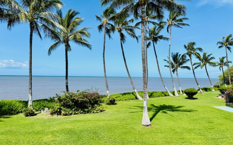 1000 Kamehameha V, Hawaii 96748, 1 Bedroom Bedrooms, ,1 BathroomBathrooms,Condominium,For Sale,Kamehameha V,2,1187 1000 Kamehameha V, Hawaii 96748, 1 Bedroom Bedrooms, ,1 BathroomBathrooms,Condominium,For Sale,Kamehameha V,2,1187