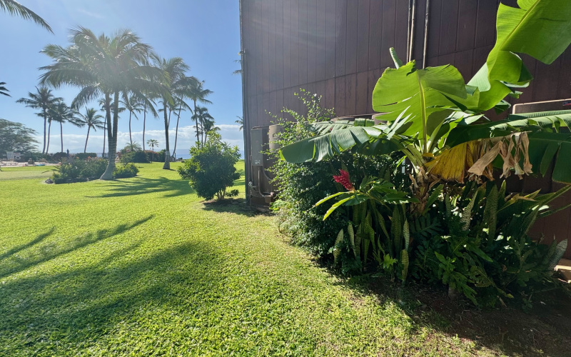 1000 Kamehameha V, Kaunakakai, Hawaii 96748, 1 Bedroom Bedrooms, ,1 BathroomBathrooms,Condominium,For Sale,Molokai Shores,Kamehameha V,1,1188 1000 Kamehameha V, Kaunakakai, Hawaii 96748, 1 Bedroom Bedrooms, ,1 BathroomBathrooms,Condominium,For Sale,Molokai Shores,Kamehameha V,1,1188