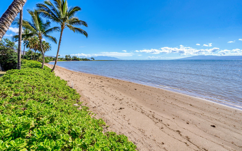 2160 Kamehameha V Hwy, Kaunakakai, Hawaii 96748, 6 Bedrooms Bedrooms, ,3.5 BathroomsBathrooms,House,For Sale,Kamehameha V Hwy,1,1193