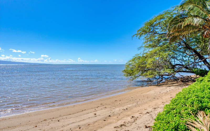 2160 Kamehameha V Hwy, Kaunakakai, Hawaii 96748, 6 Bedrooms Bedrooms, ,3.5 BathroomsBathrooms,House,For Sale,Kamehameha V Hwy,1,1193