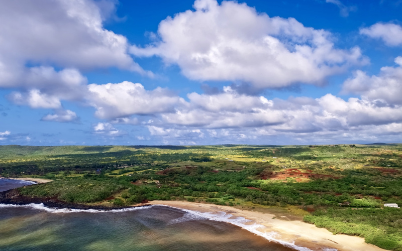 94 Noho Lio, Maunaloa, Hawaii 96770, 1 Bedroom Bedrooms, ,1 BathroomBathrooms,House,For Sale,Noho Lio,1,1195