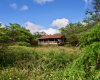 94 Noho Lio, Maunaloa, Hawaii 96770, 1 Bedroom Bedrooms, ,1 BathroomBathrooms,House,For Sale,Noho Lio,1,1195