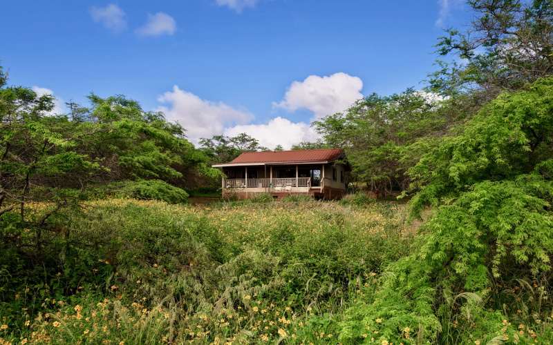 94 Noho Lio, Maunaloa, Hawaii 96770, 1 Bedroom Bedrooms, ,1 BathroomBathrooms,House,For Sale,Noho Lio,1,1195