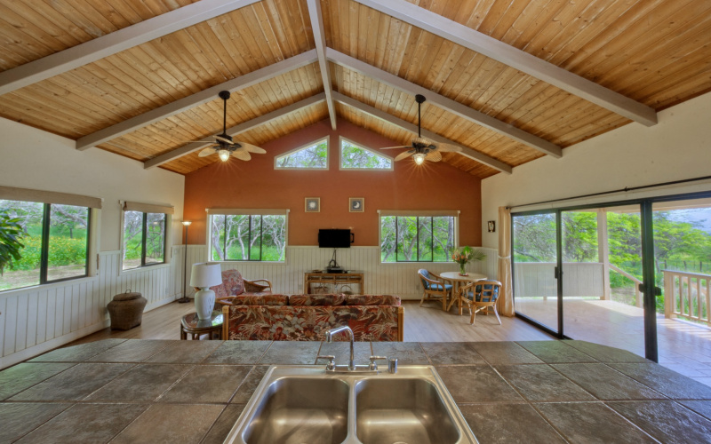 94 Noho Lio, Maunaloa, Hawaii 96770, 1 Bedroom Bedrooms, ,1 BathroomBathrooms,House,For Sale,Noho Lio,1,1195