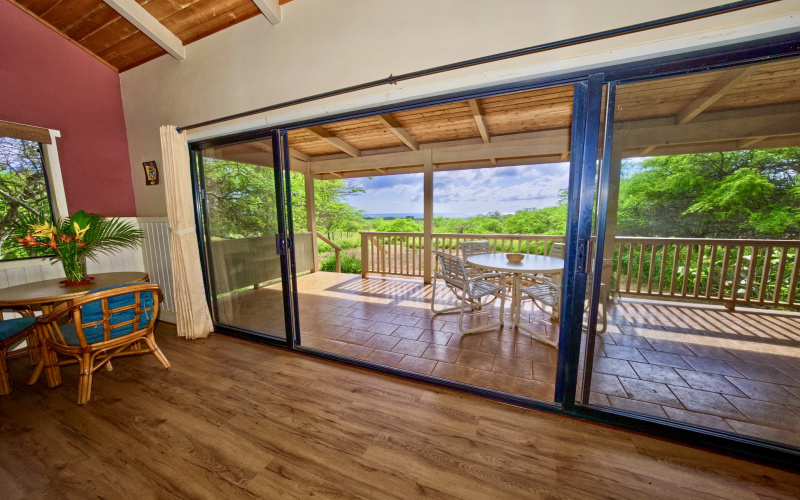 94 Noho Lio, Maunaloa, Hawaii 96770, 1 Bedroom Bedrooms, ,1 BathroomBathrooms,House,For Sale,Noho Lio,1,1195