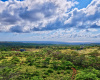 94 Noho Lio, Maunaloa, Hawaii 96770, 1 Bedroom Bedrooms, ,1 BathroomBathrooms,House,For Sale,Noho Lio,1,1195