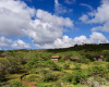 94 Noho Lio, Maunaloa, Hawaii 96770, 1 Bedroom Bedrooms, ,1 BathroomBathrooms,House,For Sale,Noho Lio,1,1195