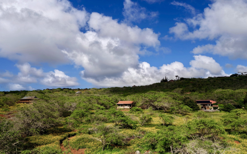 94 Noho Lio, Maunaloa, Hawaii 96770, 1 Bedroom Bedrooms, ,1 BathroomBathrooms,House,For Sale,Noho Lio,1,1195