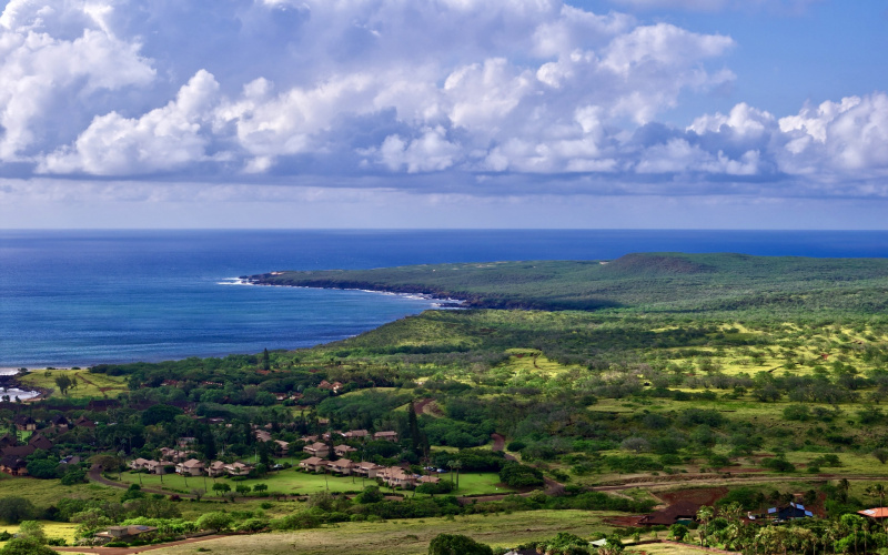 94 Noho Lio, Maunaloa, Hawaii 96770, 1 Bedroom Bedrooms, ,1 BathroomBathrooms,House,For Sale,Noho Lio,1,1195
