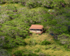 94 Noho Lio, Maunaloa, Hawaii 96770, 1 Bedroom Bedrooms, ,1 BathroomBathrooms,House,For Sale,Noho Lio,1,1195