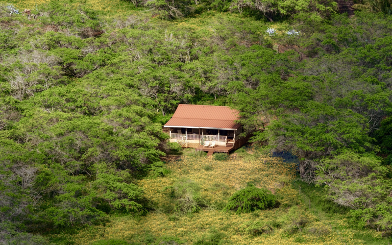 94 Noho Lio, Maunaloa, Hawaii 96770, 1 Bedroom Bedrooms, ,1 BathroomBathrooms,House,For Sale,Noho Lio,1,1195