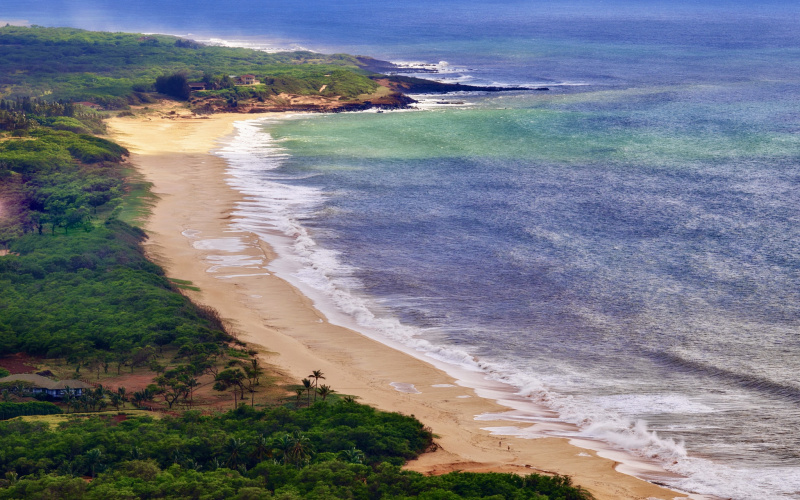 94 Noho Lio, Maunaloa, Hawaii 96770, 1 Bedroom Bedrooms, ,1 BathroomBathrooms,House,For Sale,Noho Lio,1,1195