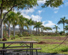 399 Ulua Road, Kaunakakai, Hawaii 96748, ,Land,For Sale,Ulua Road,1038